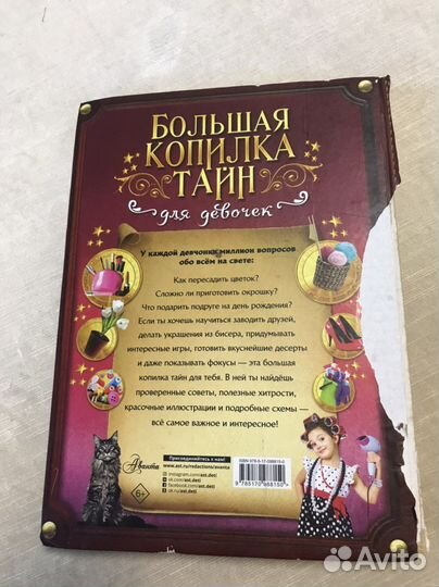 Большая копилка тайн для девочек книга