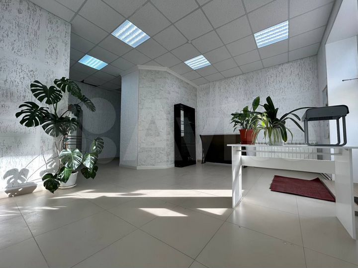 Свободного назначения, 55 м²