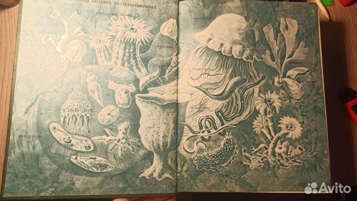 Энциклопедии Жизнь животных 2 тома