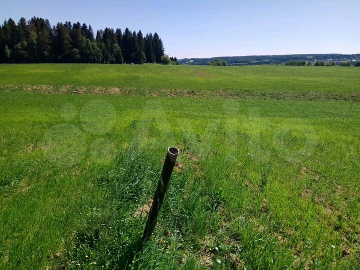 Участок 4,2 га (СНТ, ДНП)