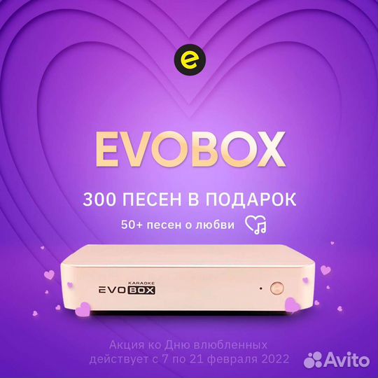 Караоке для дома Evobox