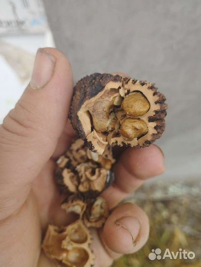 Чёрный орех на развес