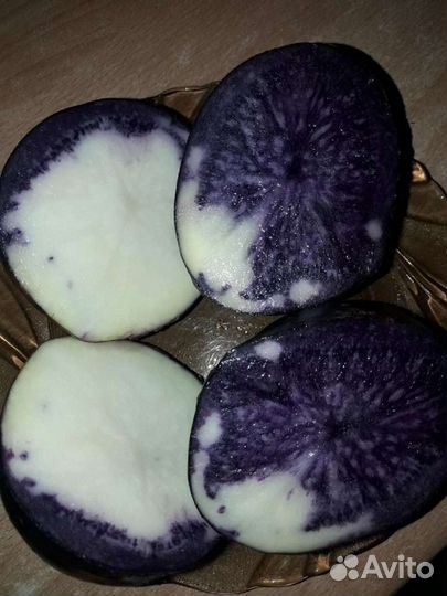 Картофель на посадку