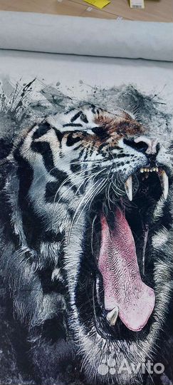 Купон на футере Тигр