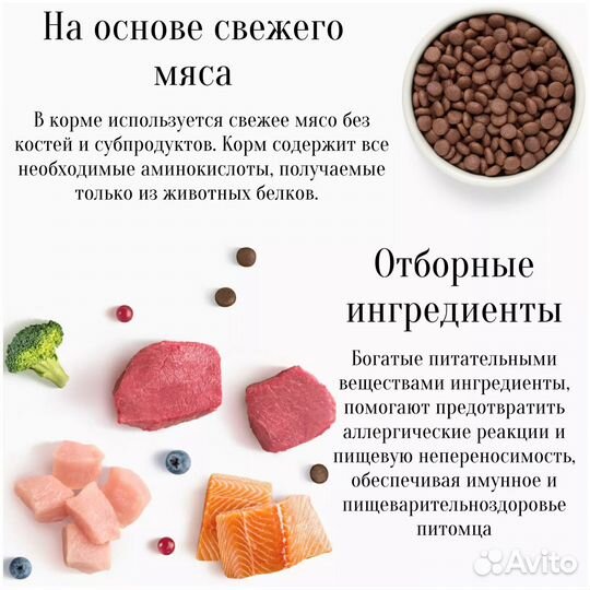 Корм для котят Premier индейка 2 кг