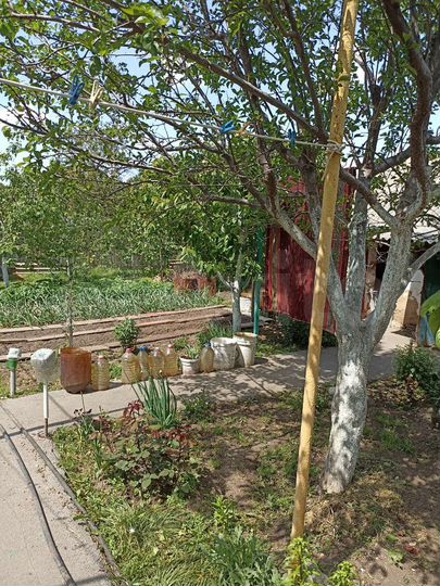 Дом 59,3 м² на участке 4,6 га