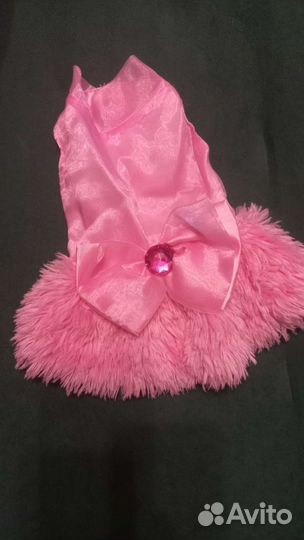 Одежда для животных