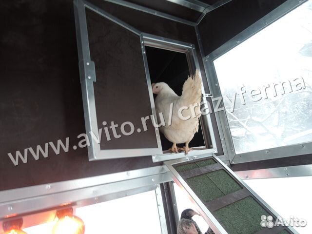 Курятник зимний с выгулом