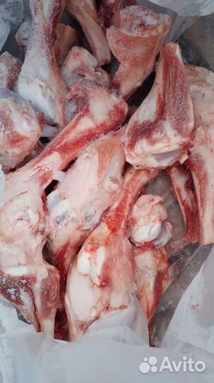 Кости для собак