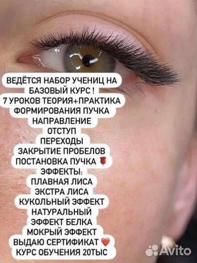 Обучение