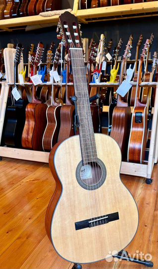 Yamaha C40 в аренду