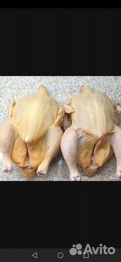 Мясо домашнего бройлера
