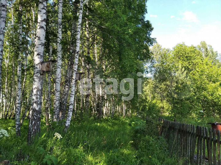 Участок 9,8 сот. (СНТ, ДНП)