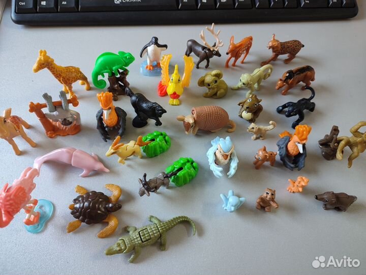 Киндер натунс