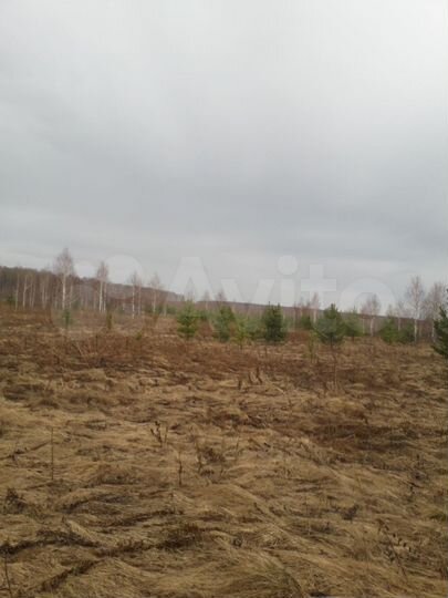 Участок 10 га (СНТ, ДНП)