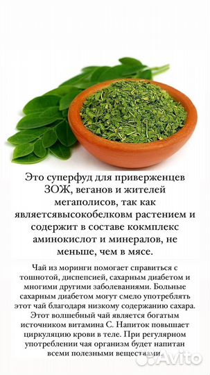 Чай Моринга