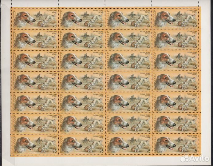 1988. Охотничьи собаки