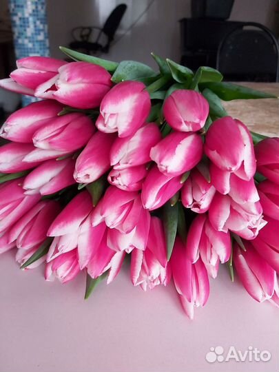 Тюльпаны к 8 марта в розницу