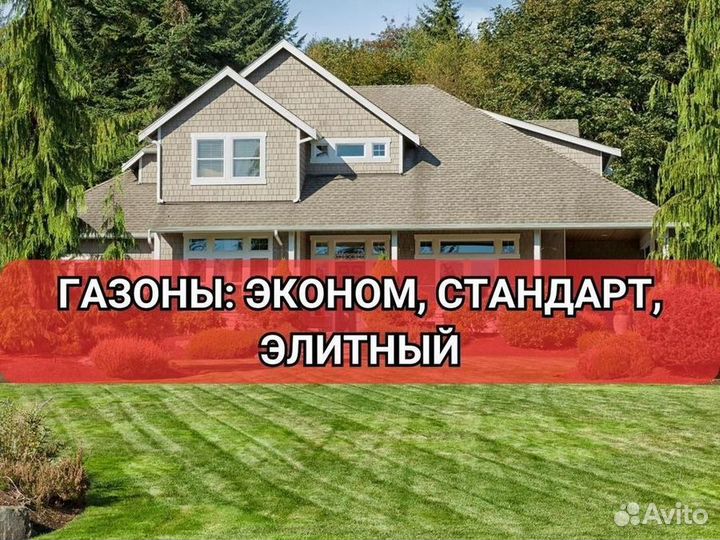 Рулонный газон от производителя стандарт
