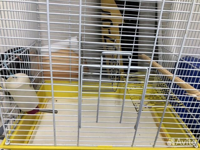 Клетка для птиц и для хомяков