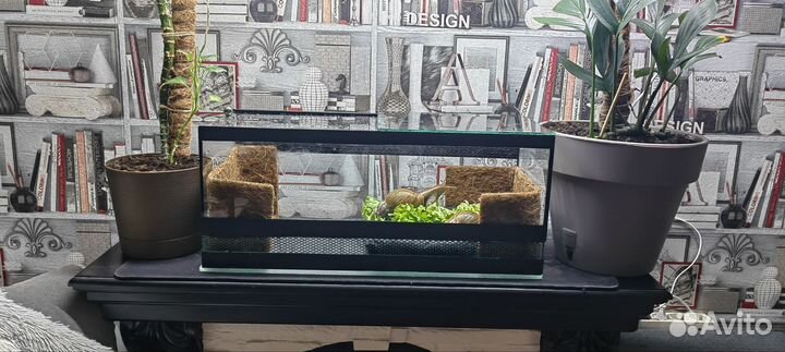 Террариум для рептилий стекло