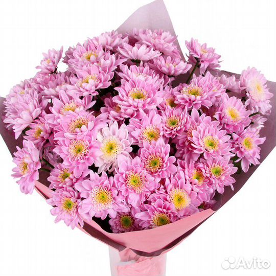 Букет из 15 хризантем Сигма