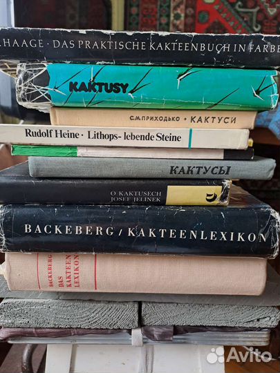 Коллекционные книги про кактусы