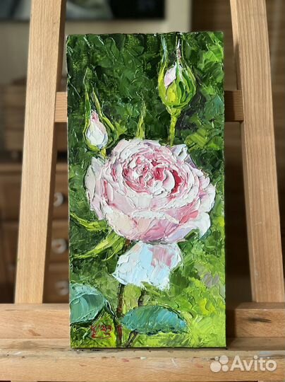 Роза. Картина маслом на холсте