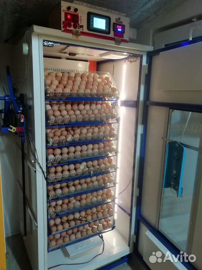 Ремонт инкубаторов