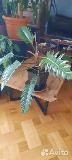 Карамель марбл зелёная