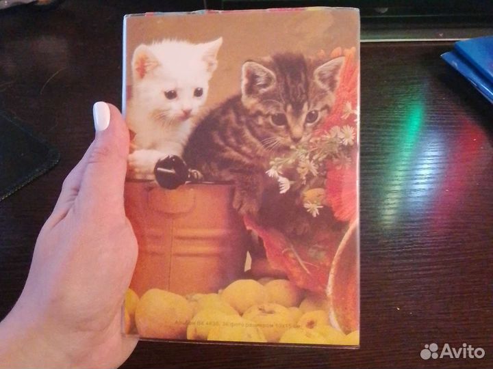 Альбом с наклейками, ностальгия