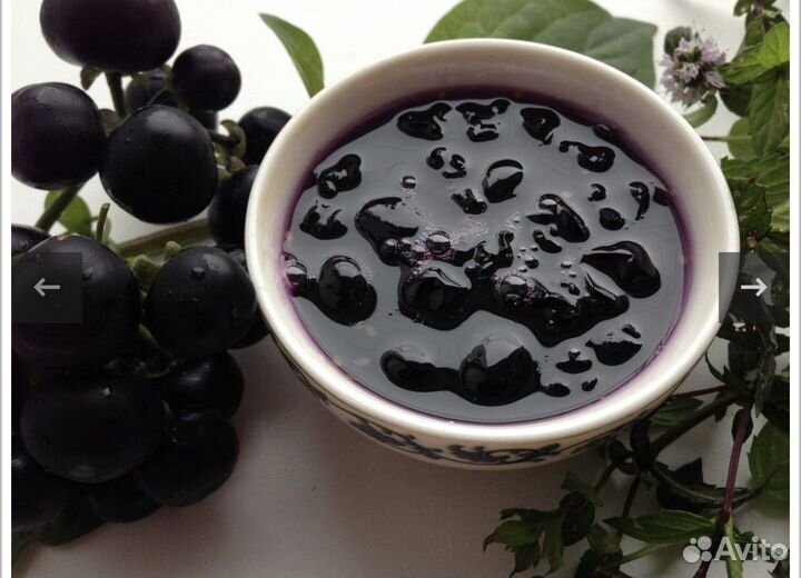 Рассада Черники Санберри