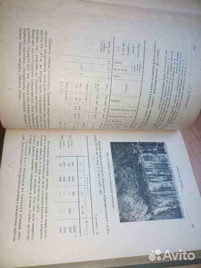 Абхазия.Геоботанический илесоводственный очерк1936