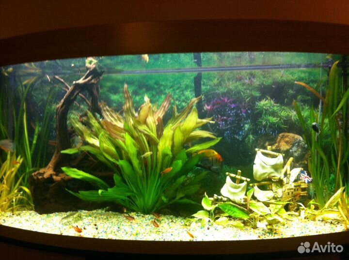 Обслуживание аквариумов