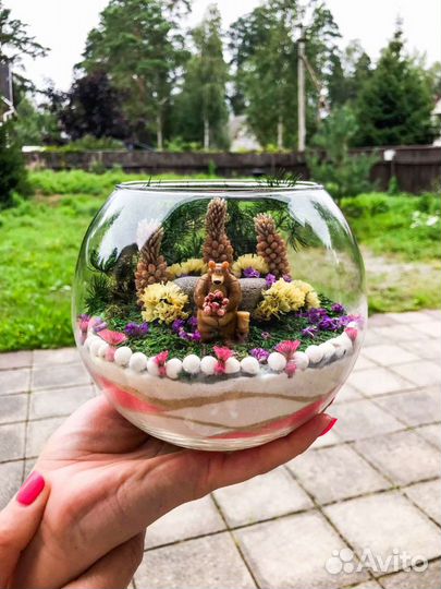 Флорариумы, моссариумы, суккуленты