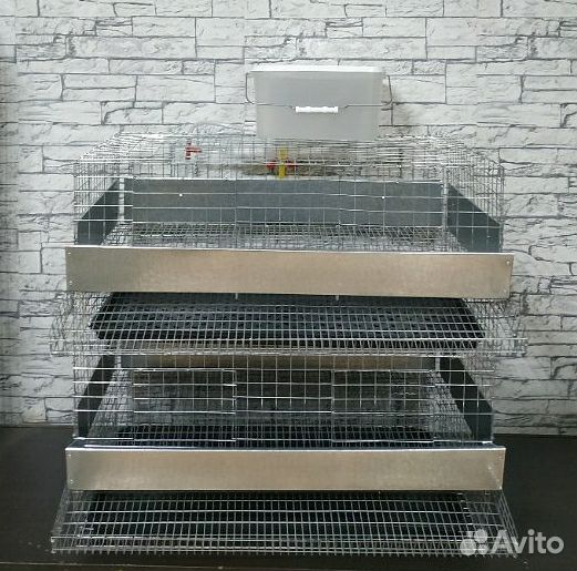 Клетка для перепелов 2 секции