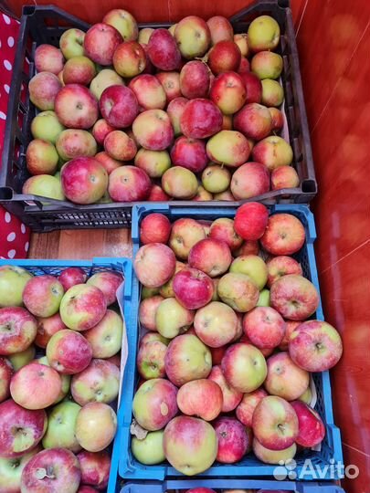 Сок яблочный