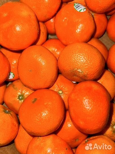 Сочные сладкие мандарины