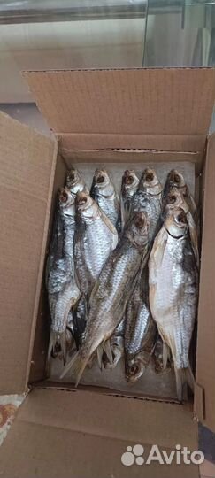 Астраханская Вобла с икрой