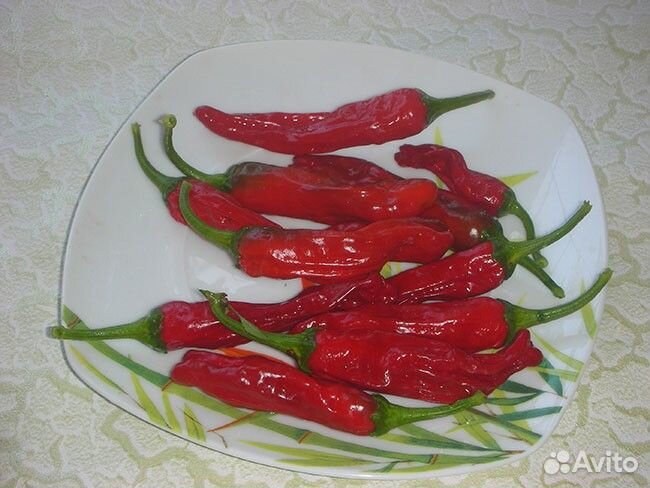 Перцы декоративные острые сьедобные