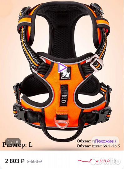 Шлейка и поводки для собак