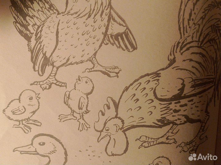 Альбом для раскрашивания