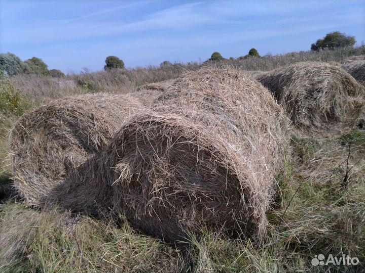 Солома в рулонах