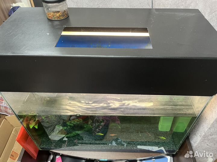 Аквариум с рыбками