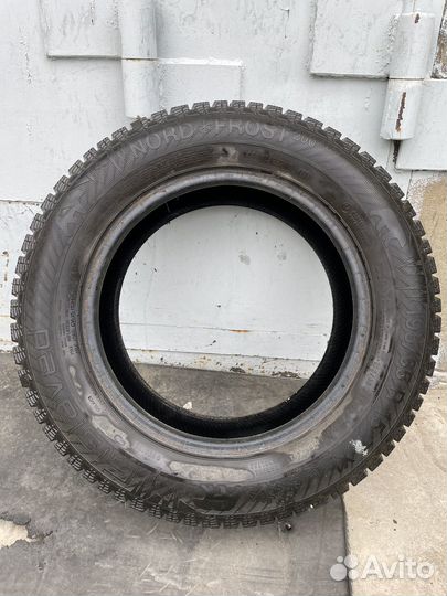 Gislaved Nord Frost 200 195/65 R15