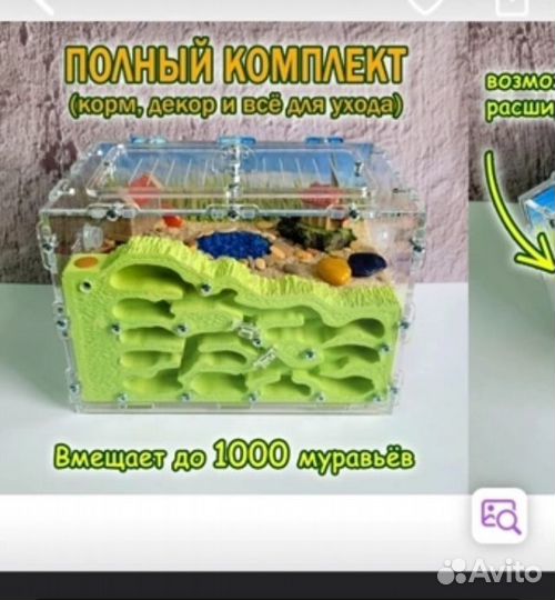 Муравьиная ферма без муравьев