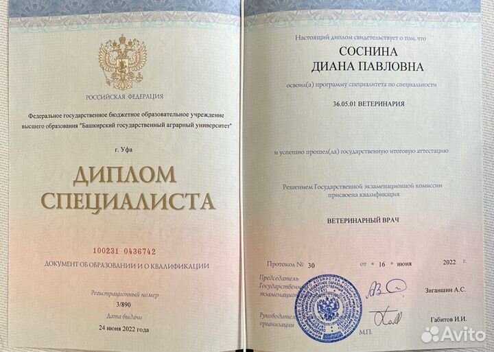 Ветеринарный диетолог / составление рационов