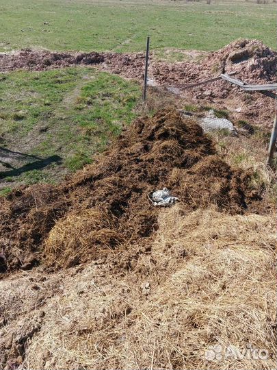 Навоз из корова