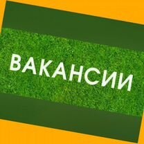 Оператор в цех сборки Работа вахтой Выплаты еженед