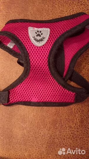 Шлейка для кошки и маленьких собак